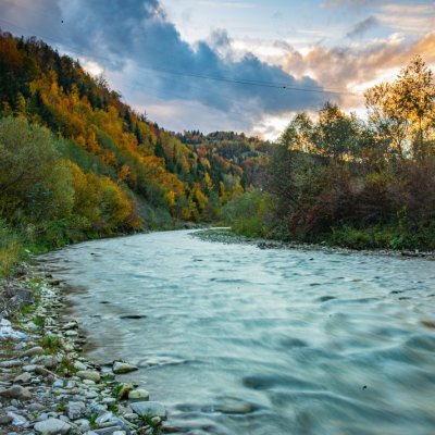 Környezet